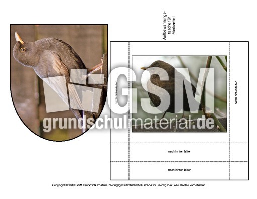 Amsel-Merkzettel-5.pdf